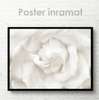 Постер - Белый цветок, 90 x 60 см, Постер на Стекле в раме, Цветы