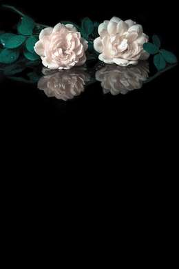 Poster - Trandafiri albi pe fundal negru, 30 x 60 см, Panza pe cadru, Botanică