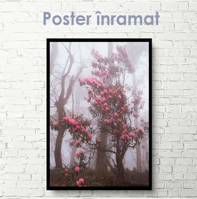 Poster - Minunile naturii, 30 x 45 см, Panza pe cadru, Natură