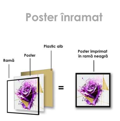 Poster - Trandafir purpuriu, 100 x 100 см, Poster inramat pe sticla