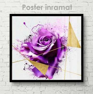 Poster - Purple rose, 40 x 40 см, Canvas on frame