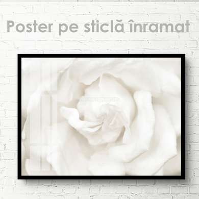 Постер - Белый цветок, 90 x 60 см, Постер на Стекле в раме, Цветы