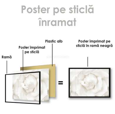 Poster - White flower, 90 x 60 см, Framed poster on glass, Flowers