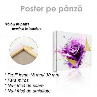 Poster - Purple rose, 40 x 40 см, Canvas on frame