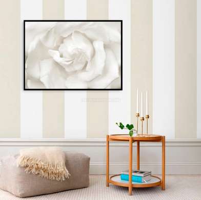 Poster - White flower, 90 x 60 см, Framed poster on glass, Flowers