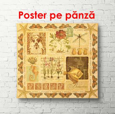 Постер - Коричневый постер, 100 x 100 см, Постер в раме, Прованс