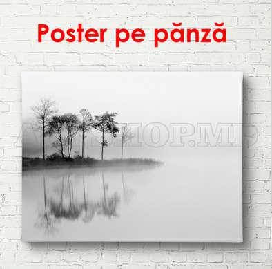 Poster - Insula cu ceață, 90 x 60 см, Poster inramat pe sticla, Alb Negru