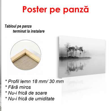 Poster - Misty Island, 45 x 30 см, Canvas on frame, Black & White
