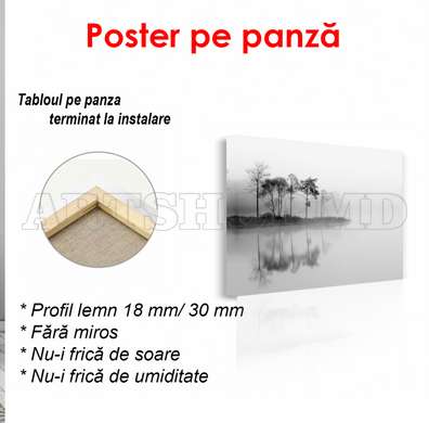 Poster - Misty Island, 90 x 60 см, Framed poster on glass, Black & White