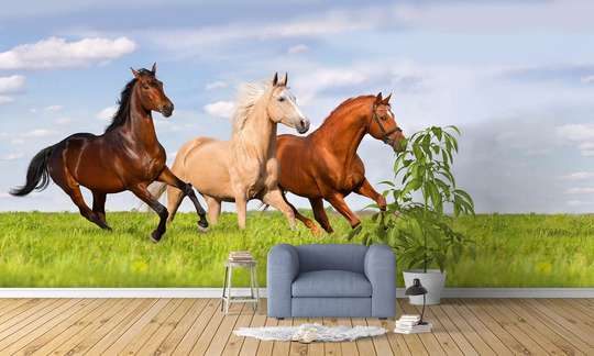 Фотообои -Бегущие лошади по зеленой траве