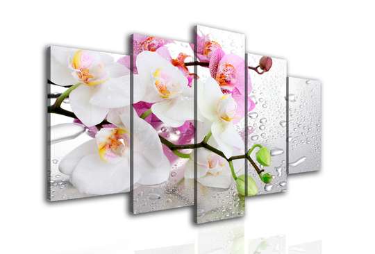 Modular picture, Pink and white orchids., 108 х 60