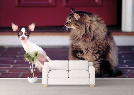 Фотообои - Дружба собаки и кошки