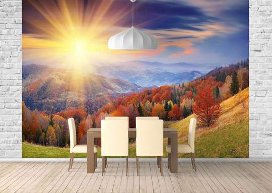 Wall Mural - Autumn forest and sunset in the mountains