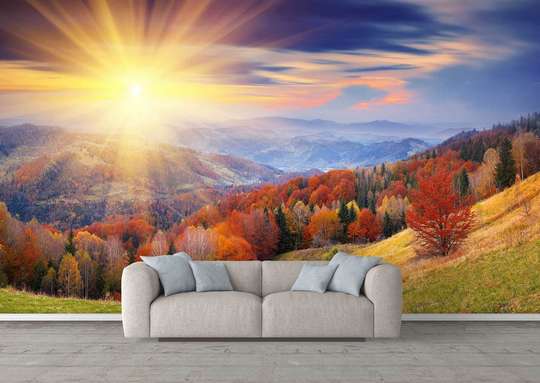 Wall Mural - Sunset in the forest