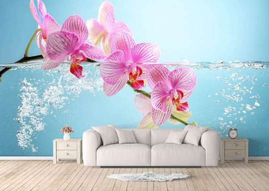 Фотообои - Розовая орхидея в воде