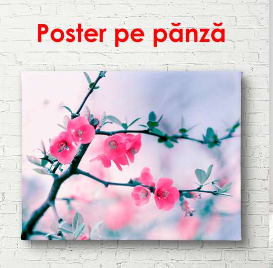 Poster - Twig with pink flowers on a blue background, 90 x 60 см, Framed poster, Flowers