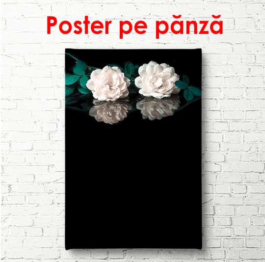 Poster - Trandafiri albi pe fundal negru, 30 x 60 см, Panza pe cadru