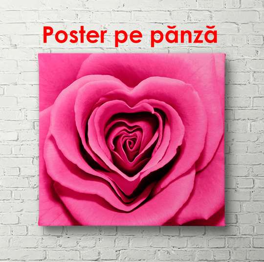 Poster - Trandafir purpuriu, 100 x 100 см, Poster înrămat, Flori