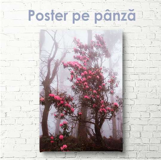 Poster - Natural Wonders, 30 x 45 см, Canvas on frame
