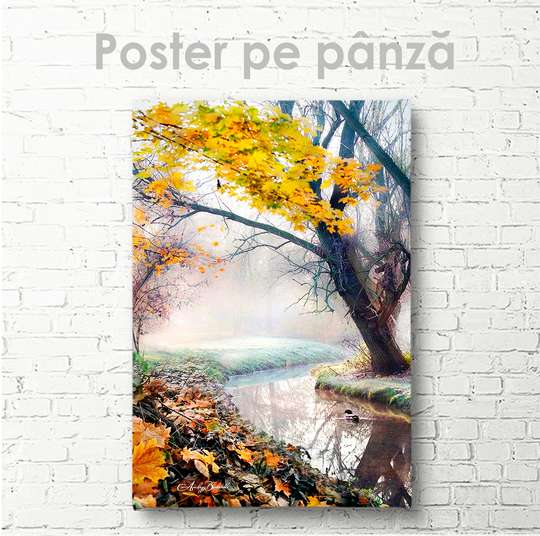 Poster, Râul din pădure, 30 x 45 см, Panza pe cadru