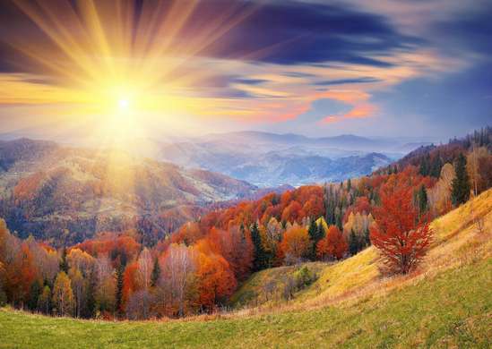 Фотообои - Осенний лес и закат в горах