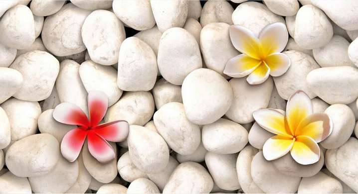 Wall Mural - Yellow flowers on white stones