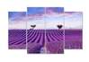 Modular picture, Lavender field., 106 x 60