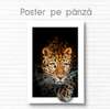 Постер, Грациозный лев, 60 x 90 см, Постер на Стекле в раме, Животные