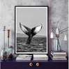 Poster - Coada balenei, 60 x 90 см, Poster inramat pe sticla