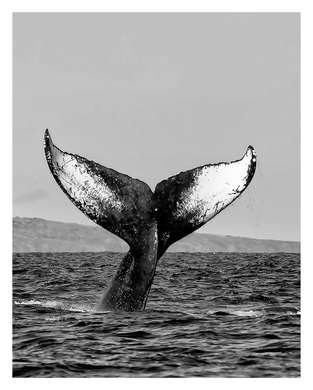 Poster - Whale tail, 30 x 45 см, Canvas on frame
