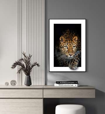 Poster, Graceful lion, 60 x 90 см, Framed poster on glass, Animals