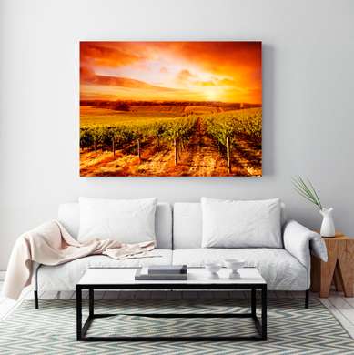 Poster - Vineyard against the backdrop of a fiery sunset, 45 x 30 см, Canvas on frame