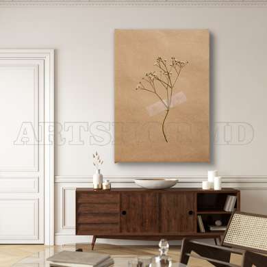 Poster - Dried Flower & Beige Background, 60 x 90 см, Framed poster on glass, Botanical