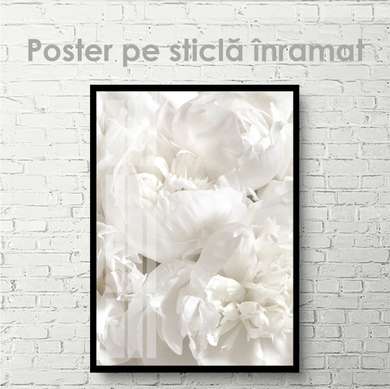 Poster - Bujorul alb, 60 x 90 см, Poster inramat pe sticla