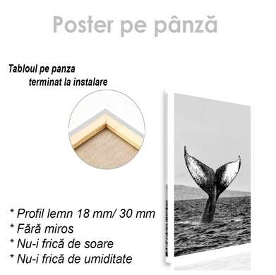 Постер - Хвост кита, 30 x 45 см, Холст на подрамнике