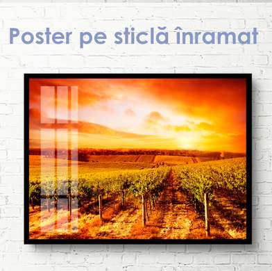 Poster - Vițe de vie pe fundalul unui apus de soare aprins, 45 x 30 см, Panza pe cadru, Natură