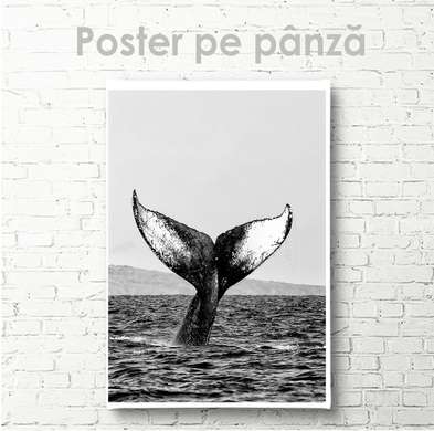 Poster - Whale tail, 60 x 90 см, Framed poster on glass