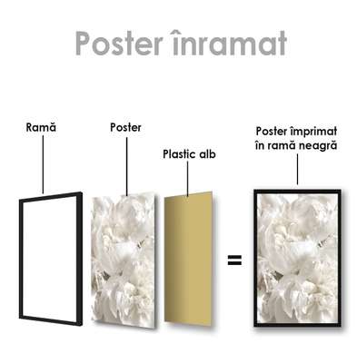 Постер - Белый пион, 60 x 90 см, Постер на Стекле в раме, Цветы