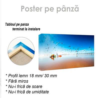 Poster - Skydivers, 90 x 45 см, Framed poster on glass, Marine Theme