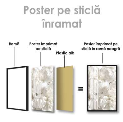 Poster - Bujorul alb, 60 x 90 см, Poster inramat pe sticla
