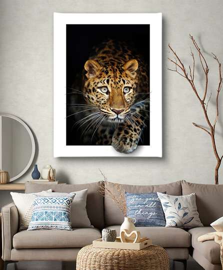 Poster, Graceful lion, 30 x 45 см, Canvas on frame, Animals