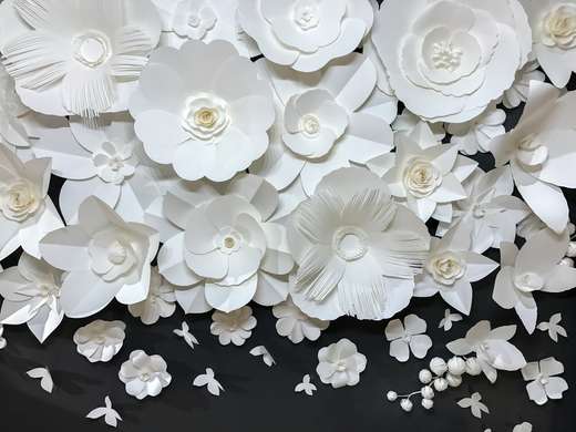 Fototapet - Flori albe pe fond negru