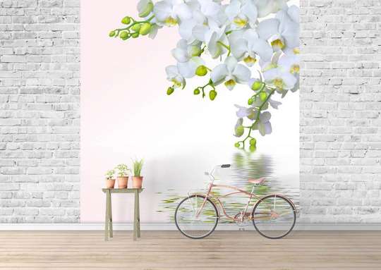 Wall Mural - White orchid over water
