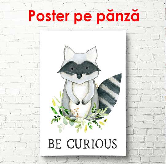 Poster - Raccoon on a white background, 60 x 90 см, Framed poster