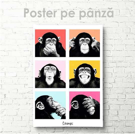 Poster, Maimuțe drăguțe, 30 x 45 см, Panza pe cadru, Animale