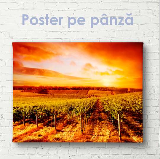 Poster - Vițe de vie pe fundalul unui apus de soare aprins, 45 x 30 см, Panza pe cadru