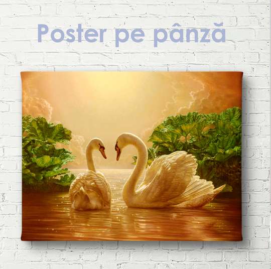 Постер, Два красивых лебедя, 45 x 30 см, Холст на подрамнике, Животные
