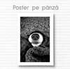 Poster, Dog nose, 30 x 45 см, Canvas on frame