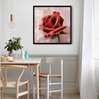 Poster - Rose with golden edges, 40 x 40 см, Canvas on frame, Flowers