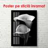 Poster - Black and white callas, 45 x 90 см, Framed poster on glass, Black & White